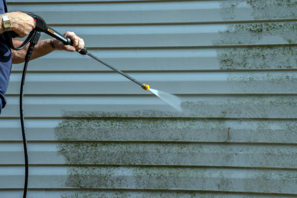 Best Graffiti Removal  in Stevensville, MT